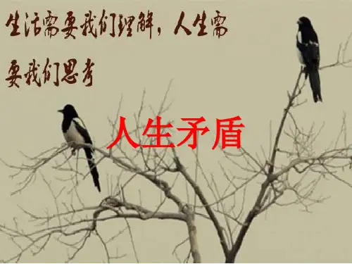 (生死观)ppt课件