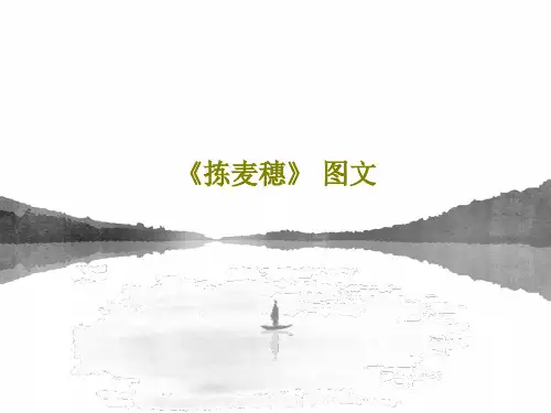 《拣麦穗》 图文22页PPT