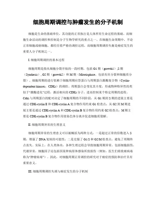 细胞周期调控与肿瘤发生的分子机制