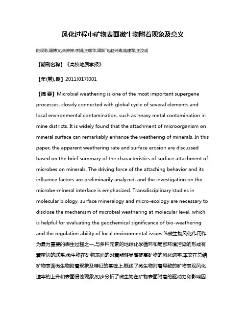 风化过程中矿物表面微生物附着现象及意义