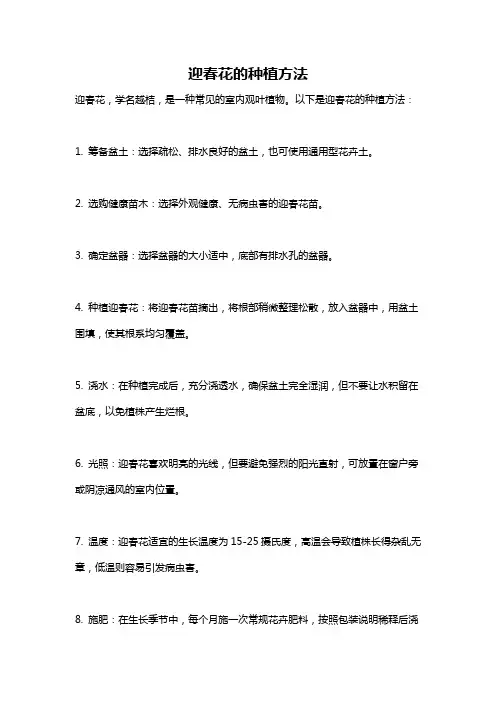 迎春花的种植方法