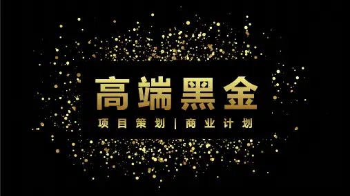 黑金风商业计划书PPT模板