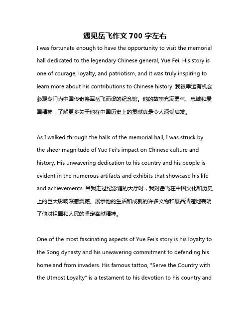 遇见岳飞作文700字左右