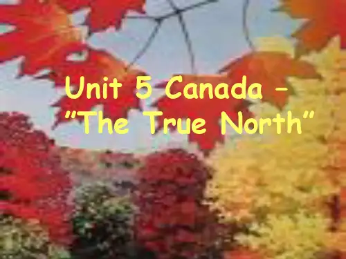 新人教版高中英语必修3Unit 5 Canada---“The true North”(ppt)