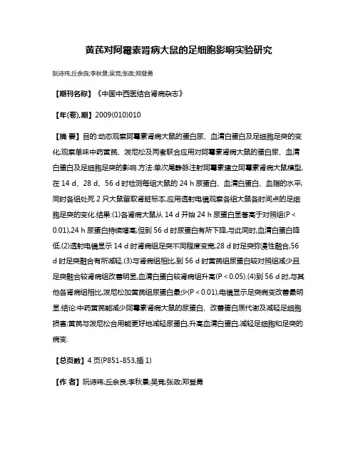 黄芪对阿霉素肾病大鼠的足细胞影响实验研究
