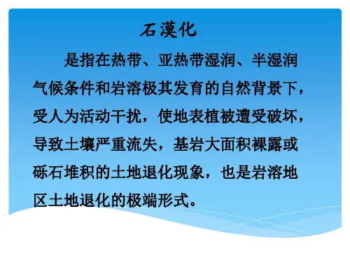 石漠化简介及主要治理技术