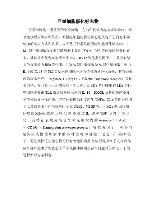 巨噬细胞极化标志物