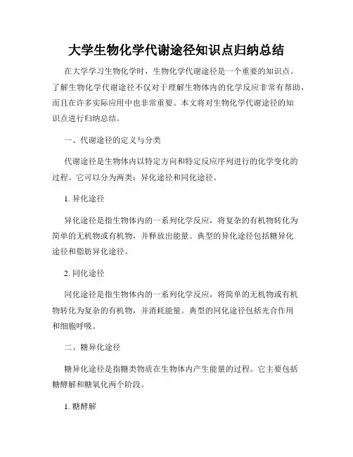 大学生物化学代谢途径知识点归纳总结