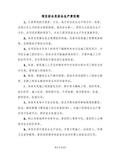 项目安全员安全生产责任制(5篇)