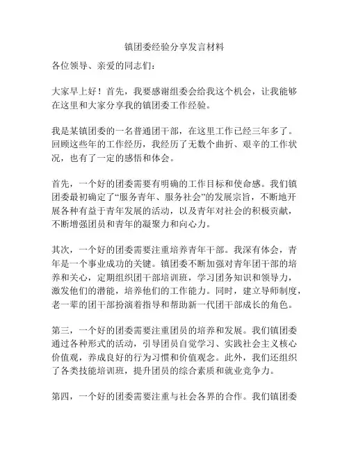 镇团委经验分享发言材料