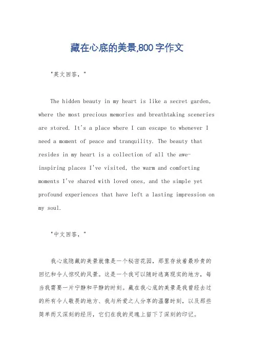 藏在心底的美景,800字作文