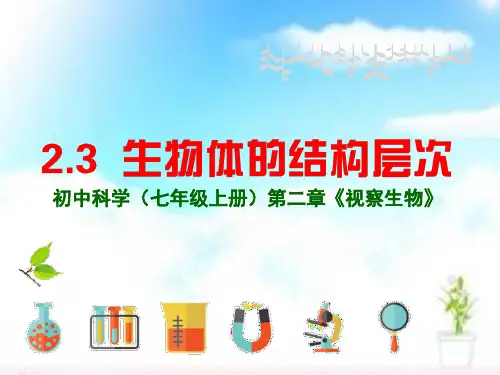 生物体的结构层次组织(PPT课件(初中科学)21张)