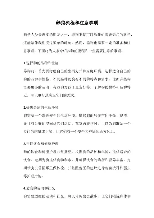 养狗流程和注意事项