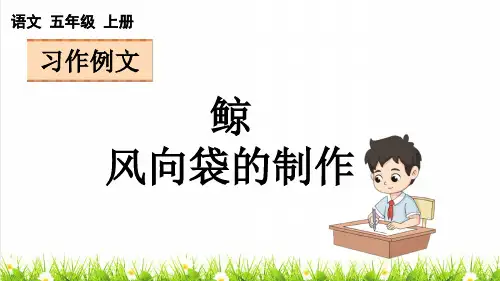 人教版五年级语文上册第五单元《习作例文》教学课件