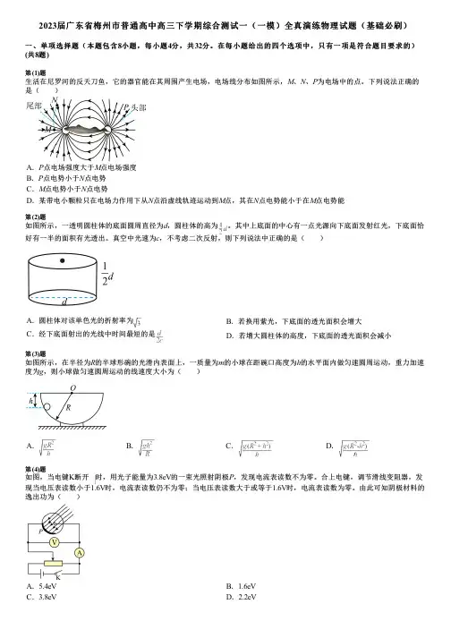 2023届广东省梅州市普通高中高三下学期综合测试一(一模)全真演练物理试题(基础必刷)