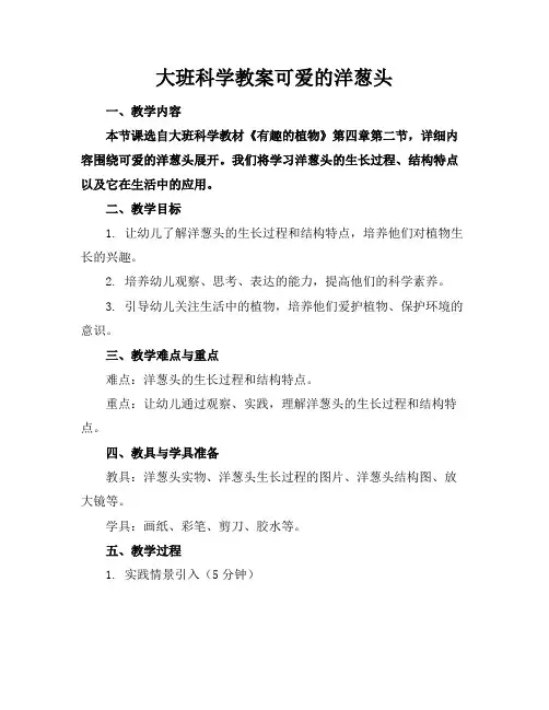 大班科学教案可爱的洋葱头
