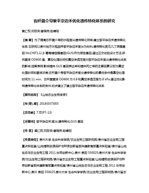 农杆菌介导黎平杂边禾优化遗传转化体系的研究