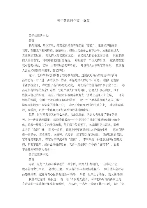 关于禁毒的作文10篇