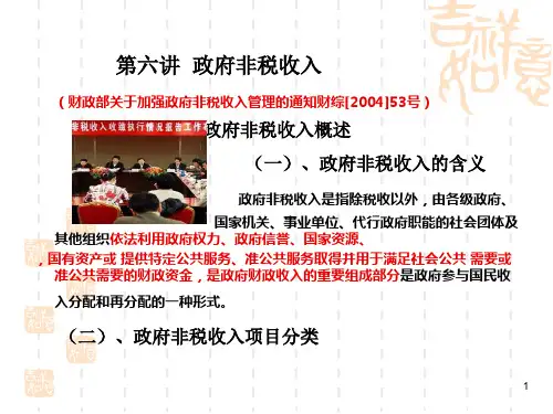 第六讲政府非税收入