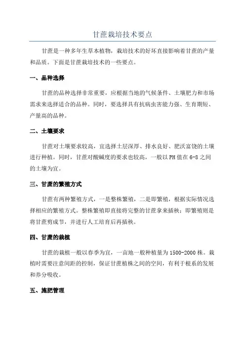 甘蔗栽培技术要点