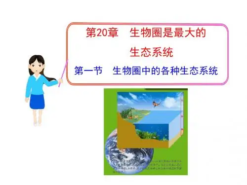生物圈中的各种生态系统PPT课件