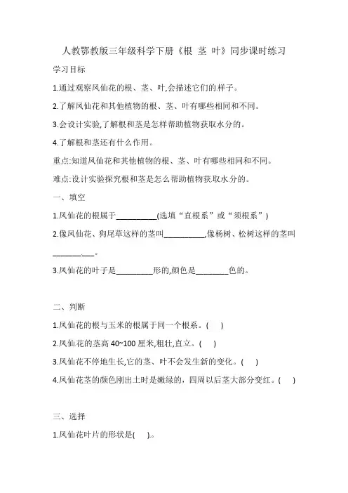 人教鄂教版三年级科学下册《根 茎 叶》同步课时练习