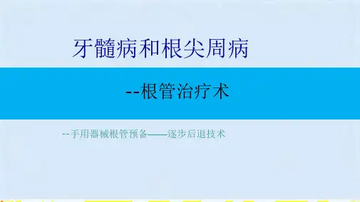 手用器械根管预备法—逐步后退技术(共10张PPT)