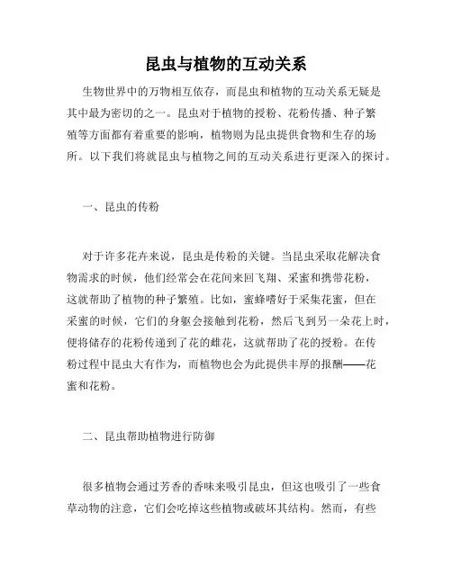 昆虫与植物的互动关系