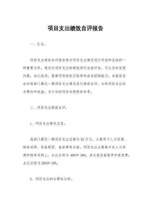 项目支出绩效自评报告