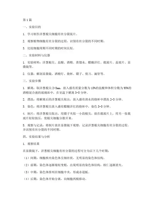 葱根尖的实验报告(3篇)