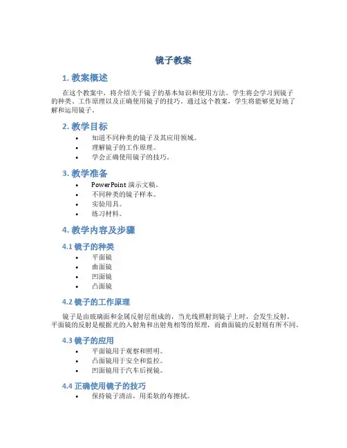 镜子教案_精品文档