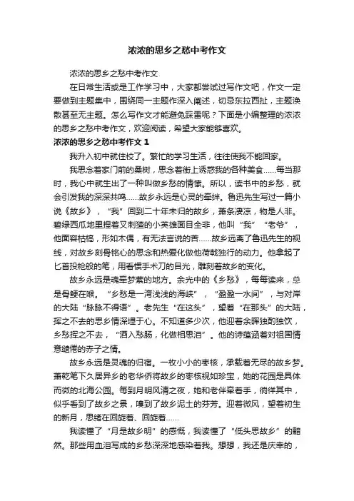 浓浓的思乡之愁中考作文