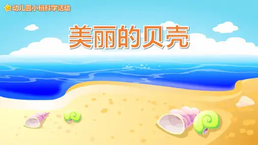 幼儿园小班科学教育《美丽的贝壳》课件