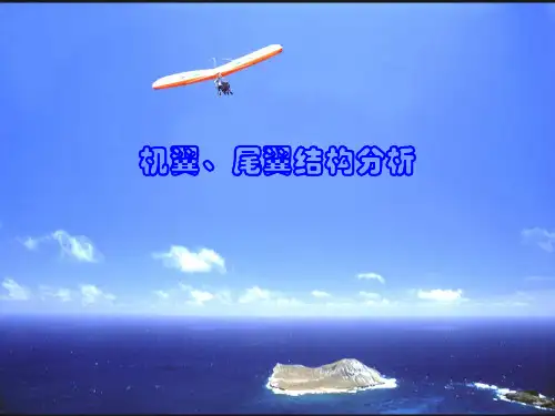 机翼、尾翼结构分析