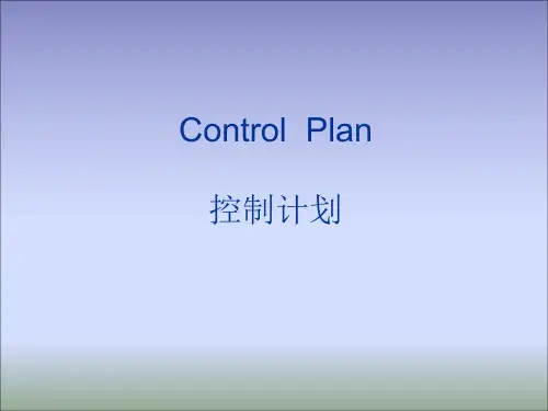 控制计划