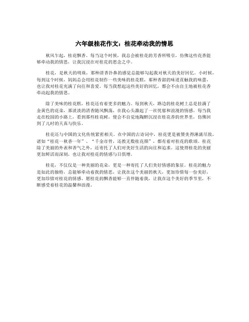 六年级桂花作文：桂花牵动我的情思