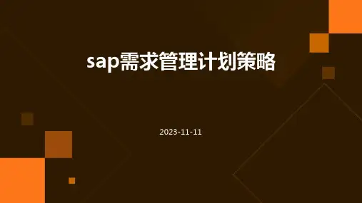 sap需求管理计划策略