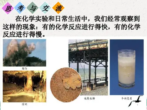人教版高中化学选修四课件：2.1化学反应速率 (共25张PPT)
