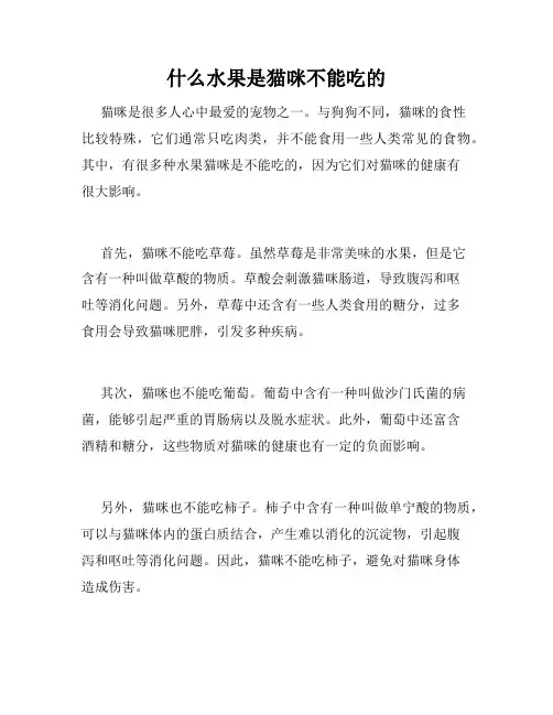什么水果是猫咪不能吃的