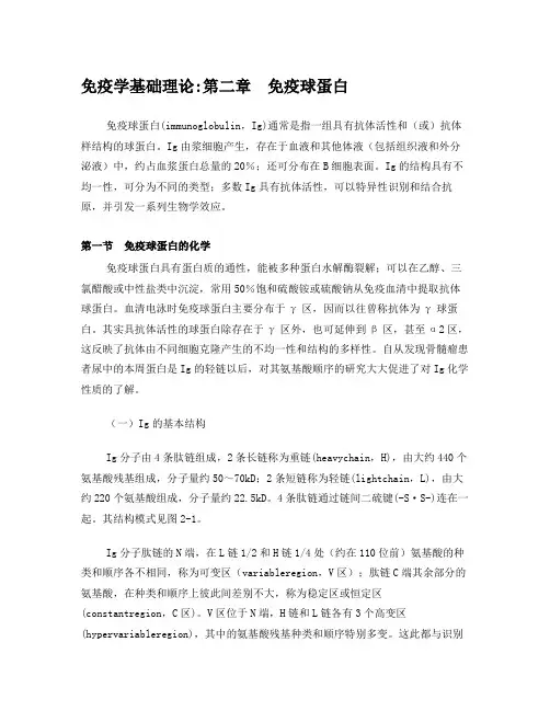 免疫学基础理论第二章免疫球蛋白