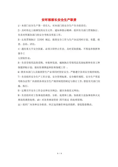 安环部部长安全生产职责