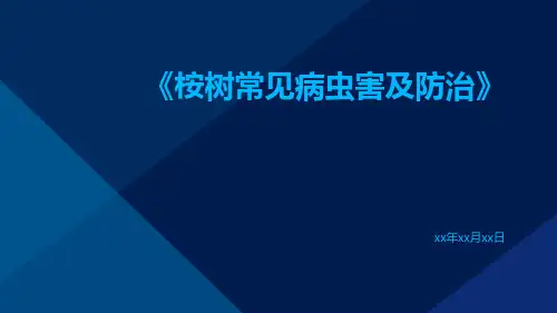 桉树常见病虫害及防治
