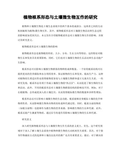 植物根系形态与土壤微生物互作的研究