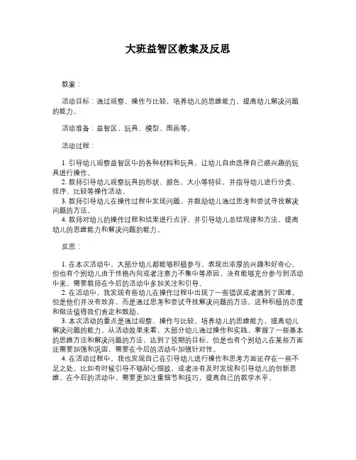 大班益智区教案及反思
