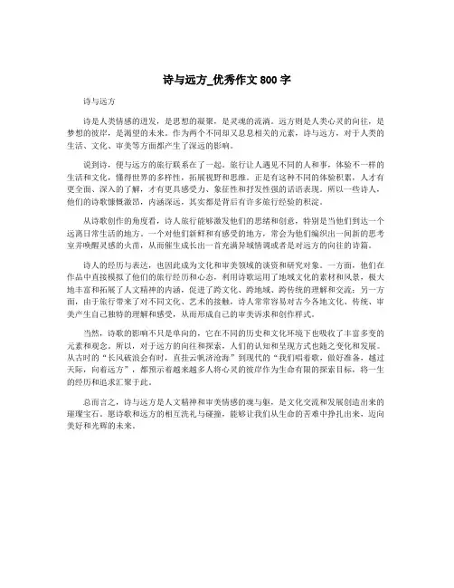 诗与远方_优秀作文800字