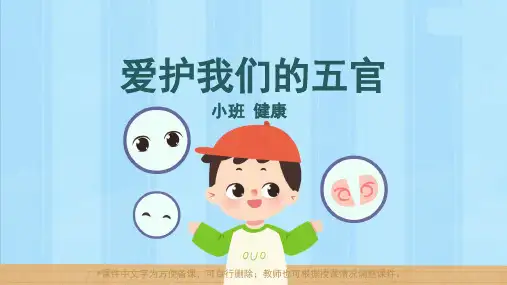 小班-健康-爱护我们的五官-课件(基础版)