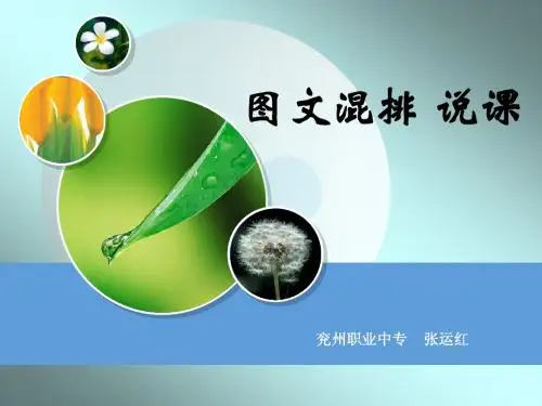 word图文混排&美化文档说课课件