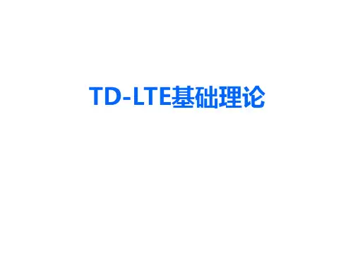TD-LTE基础理论