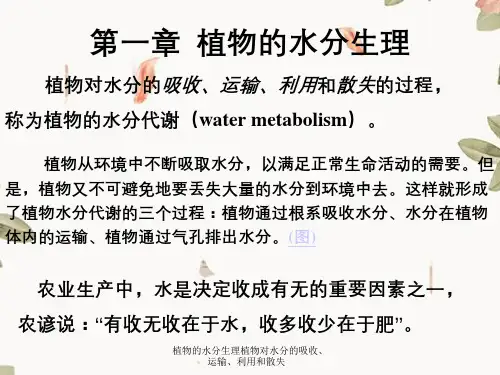 植物的水分生理植物对水分的吸收、运输、利用和散失