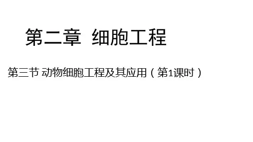 第二章 第三节 动物细胞工程及其应用 课件2021-2022学年高二下学期生物苏教版选择性必修3